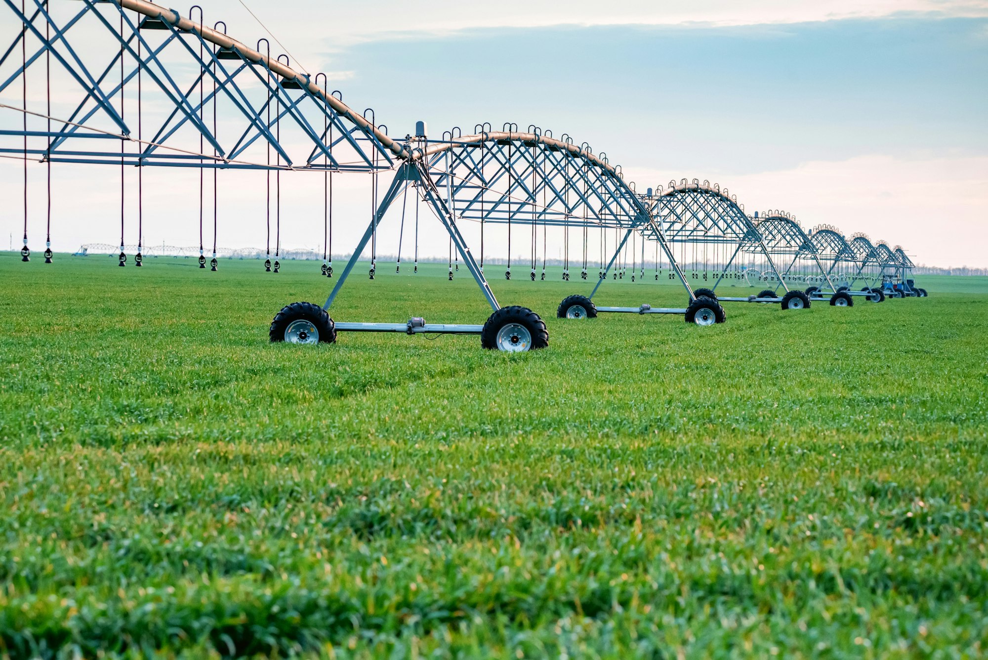 Drip irrigation system in field